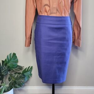Ann Taylor Pencil Skirt Purple Size 0